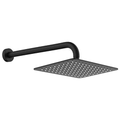 Fienza Tono Shower Arm