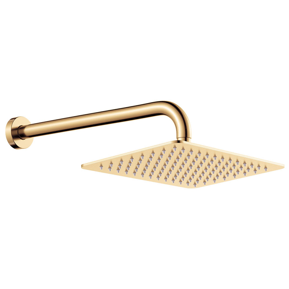 Fienza Tono Shower Arm