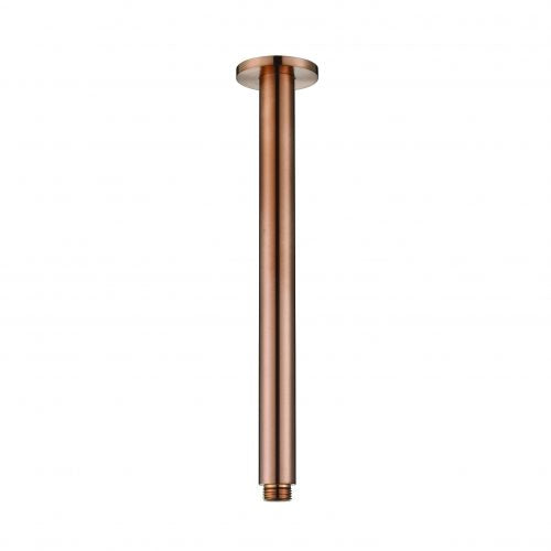 Ceiling Shower Arm