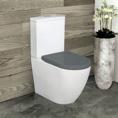 Alix Back-to-Wall Toilet Suite (Pan + Seat + R&T Cistern)
