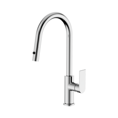 Bianca Pull Out Sink Mixer With Vegie Spray Function