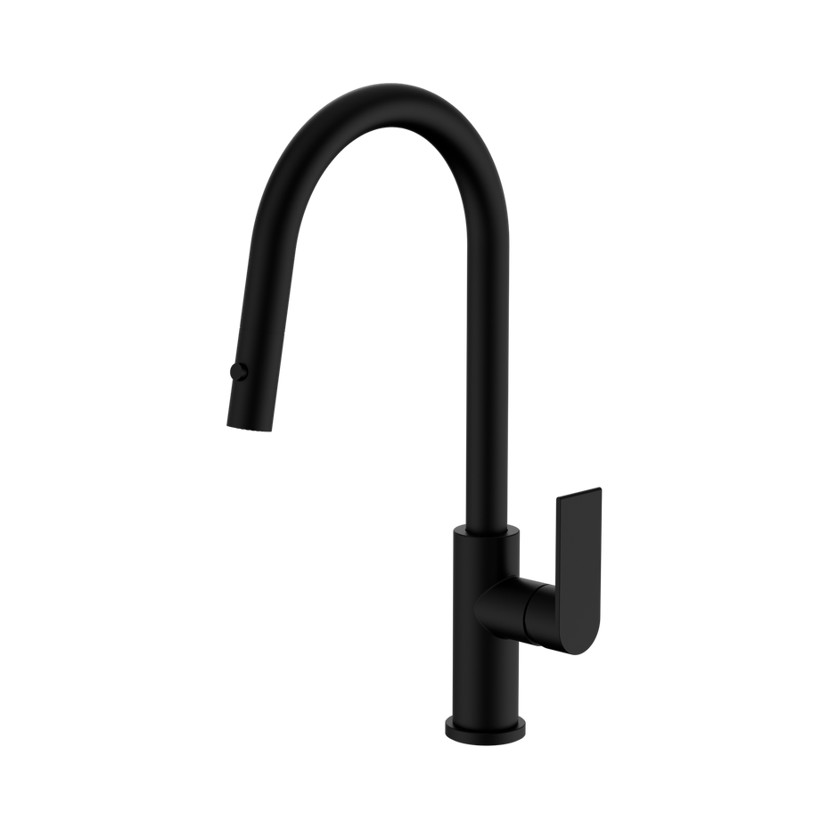 Bianca Pull Out Sink Mixer With Vegie Spray Function