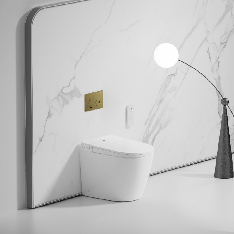 AULIC Crawford Rimless Smart Toilet with Flush Plate