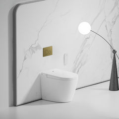 AULIC Crawford Rimless Smart Toilet with Flush Plate
