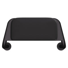 Care Back Rest with Cushion Plate