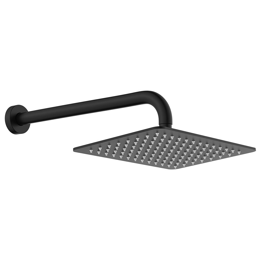 Fienza Tono Shower Arm