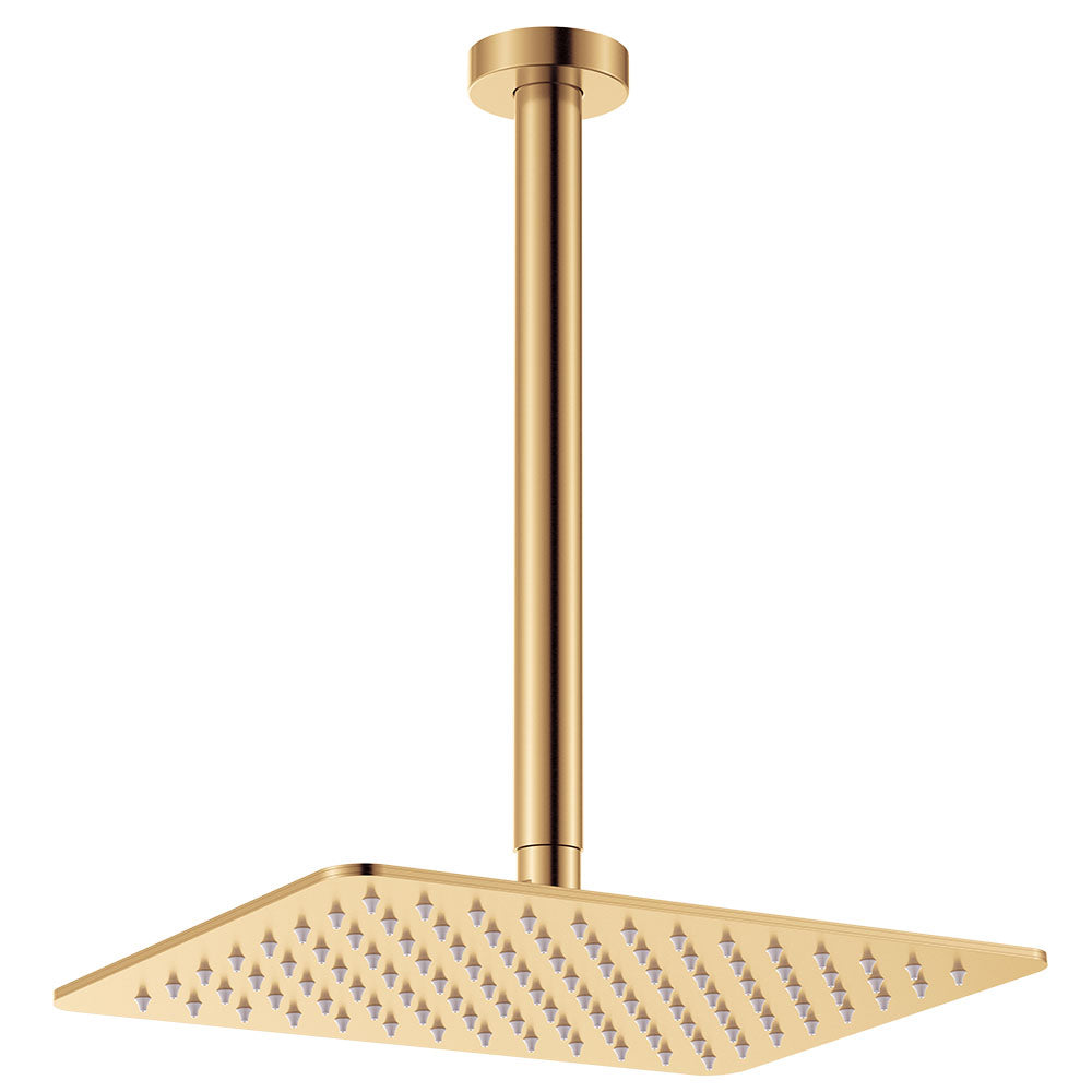 Fienza Tono Shower Dropper Set