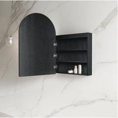 LED Archie 900x600 Black Oak Shaving Cabinet