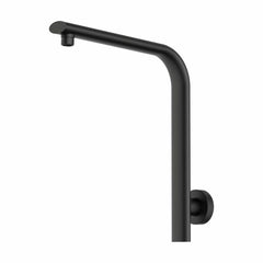 Berlin Wall Shower Arm