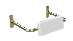 care range toilet back rest