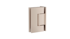 Glass to Wall Shower Door Hinge