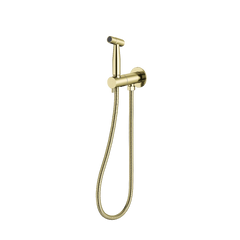 Bidet spray with mixer