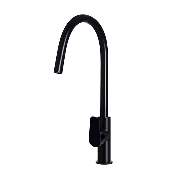 Round Paddle Piccola Pull Out Kitchen Mixer Tap