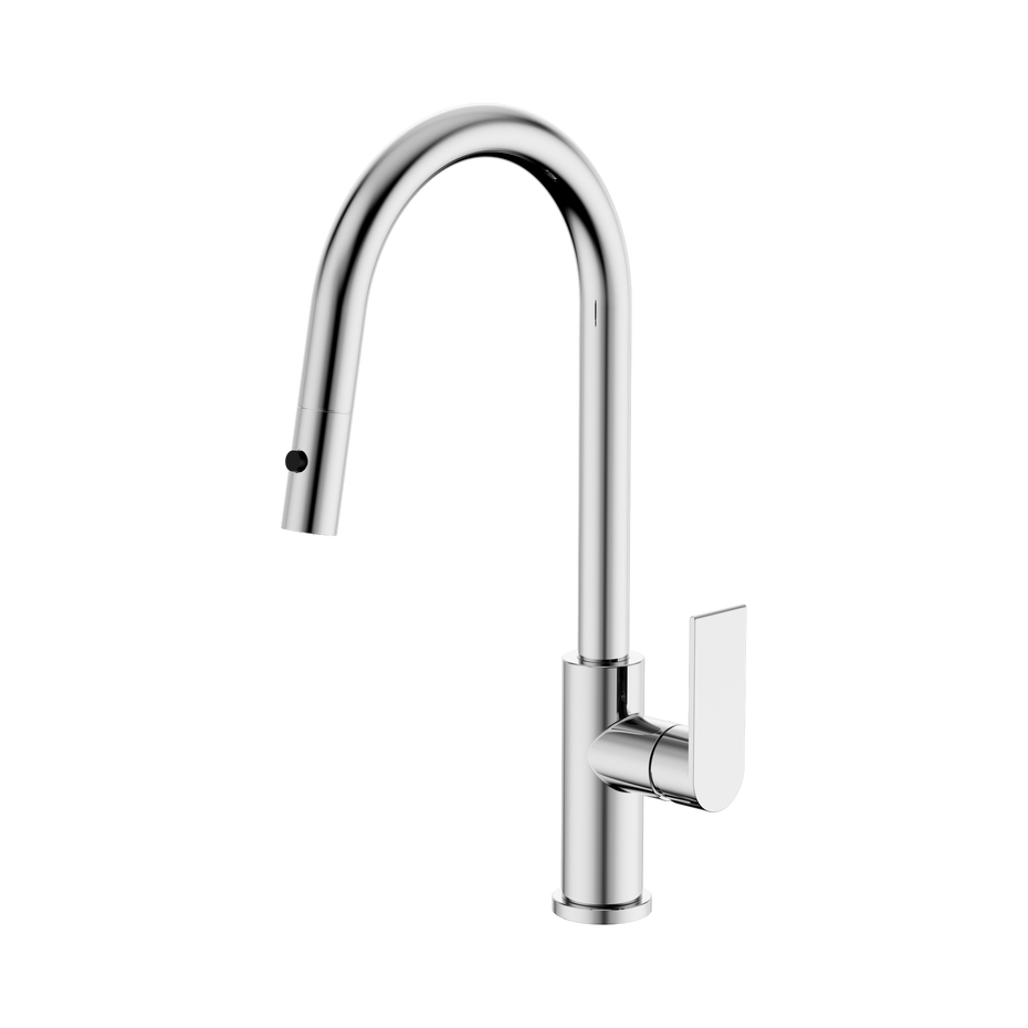 Bianca Pull Out Sink Mixer With Vegie Spray Function