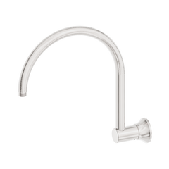 York Shower Arm
