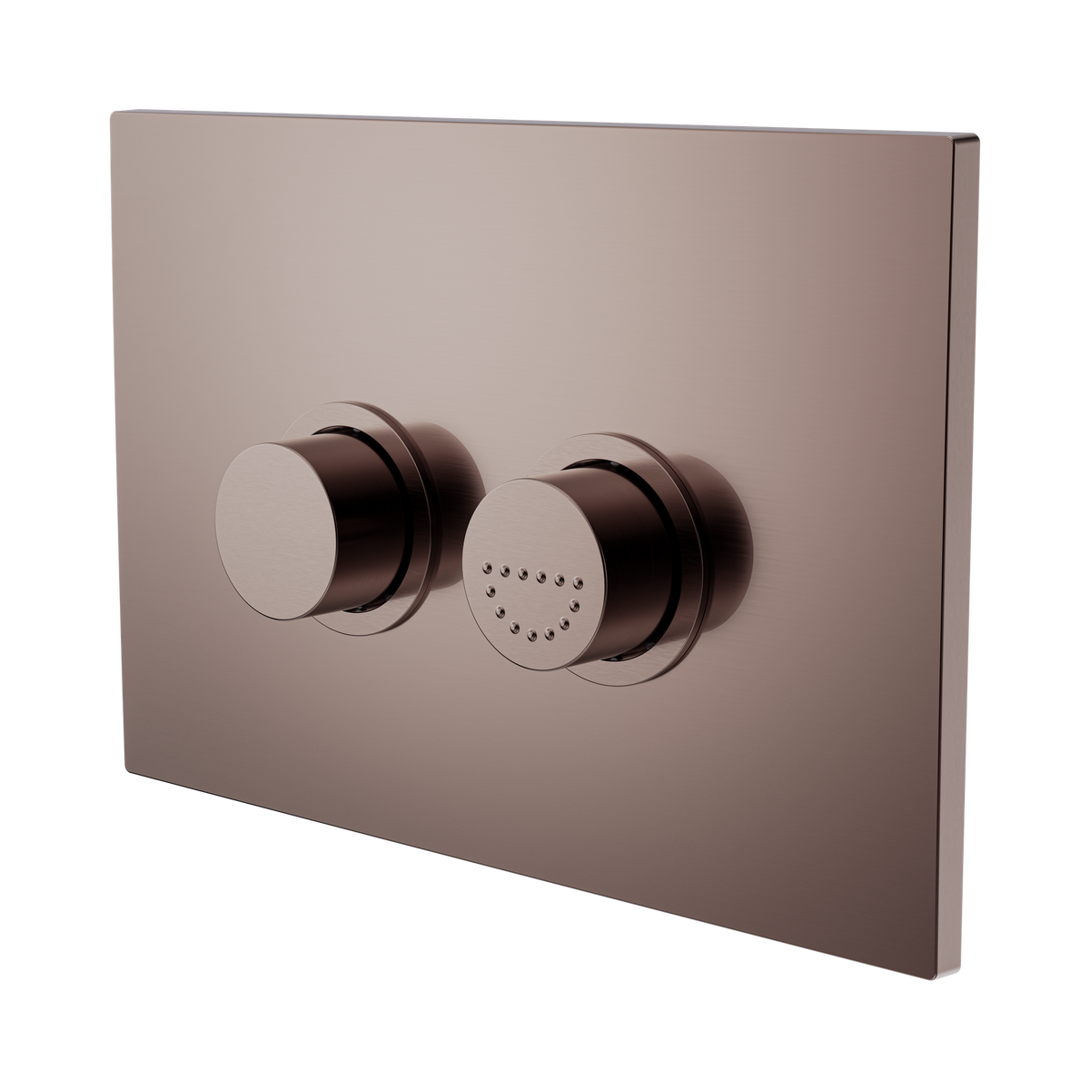 Mecca Care Raised Disabled Care Pneumatic Flush Buttons Plate DDA Accessible Toilet Compliant