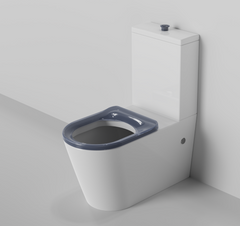 Cara Care Back To Wall Rimless Toilet Suite