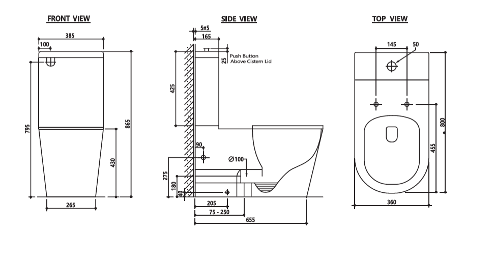 Cara Care Back To Wall Rimless Toilet Suite