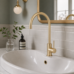 Luna Kitchen / Laundry Mixer