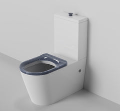 Cara Care Wall faced Rimless Toilet Suite