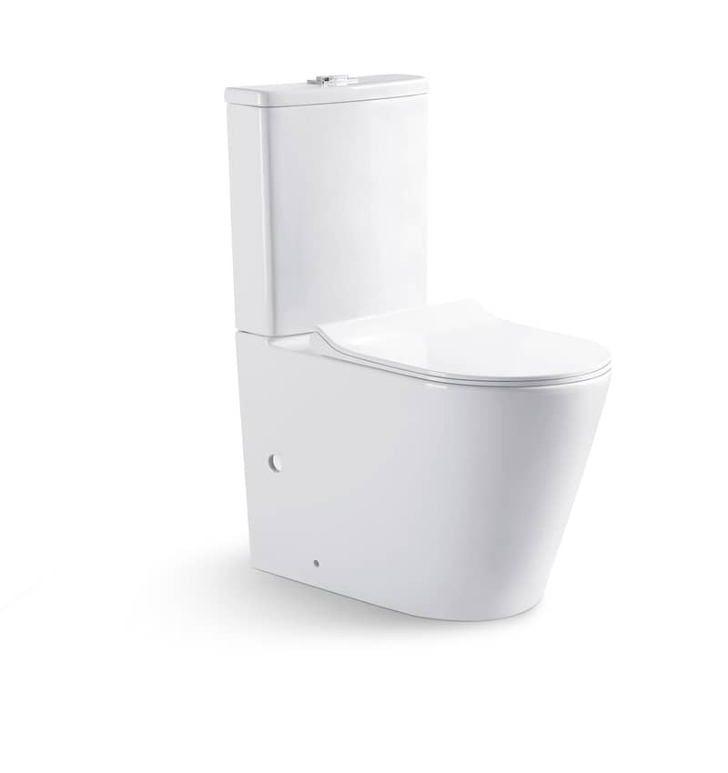 ECT - EXON wall faced tornado flush toilet suite