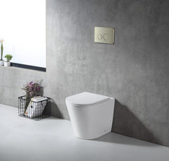 Zumi - Java Nano Glazed In-wall cistern toilet