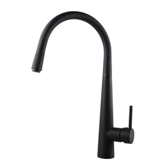 Pentro Chrome Pull Out Mixer KT21.01