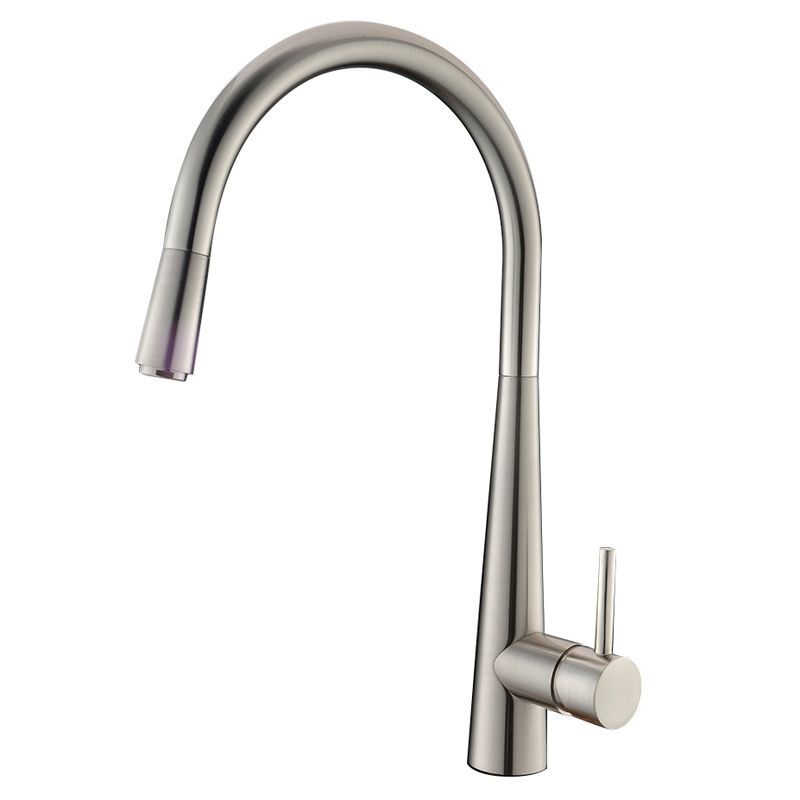 Pentro Brushed Nickel Pull Out Kitchen Mixer KT21.05