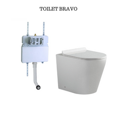 Bravo In wall Cistern Toilet