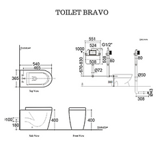 Bravo In wall Cistern Toilet