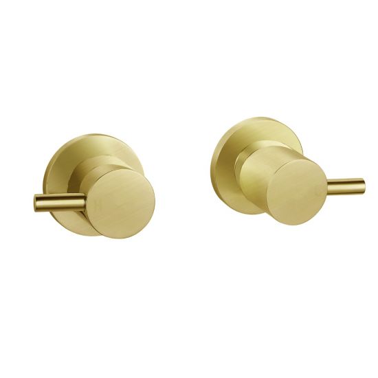 Wall Assembly Hot and Cold Shower taps Brushed Gold - wt07.04
